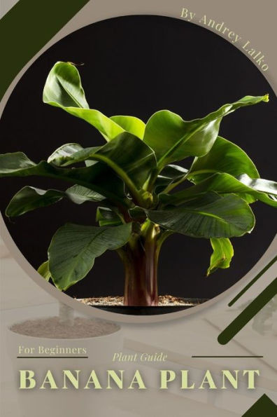 Banana Plant: Prodigy Petal, Plant Guide