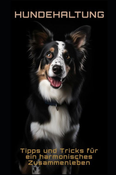 Hundehaltung: Tipps und Tricks für ein harmonisches Zusammenleben