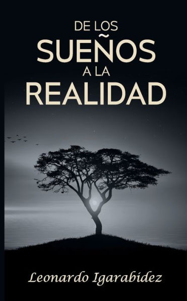 De los sueños a la realidaded