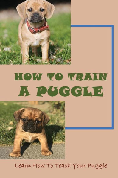 How To Train A Puggle: Learn How To Teach Your Puggle: Puggle Training Tips