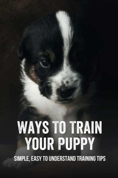 Ways To Train Your Puppy: Simple, Easy To Understand Training Tips: Leash Walking For Dog