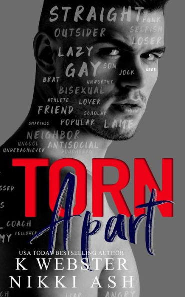 Torn Apart: a New Adult Why Choose Romance
