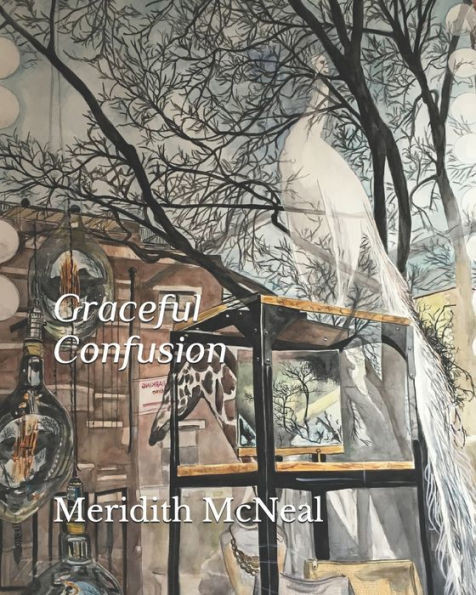 Graceful Confusion: Paintings by Meridith McNeal