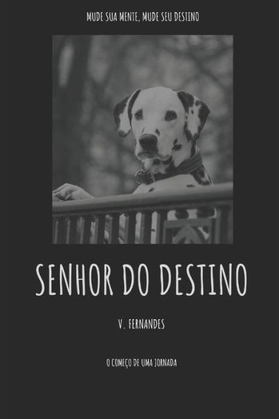 Senhor do destino: O comeÃ§o de uma jornada