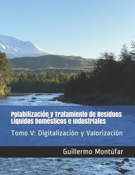 Potabilización y Tratamiento de Residuos Líquidos Domésticos e Industriales: Tomo V: Digitalización y Valorización