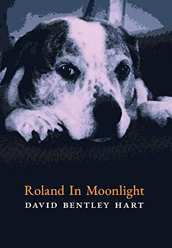 Roland In Moonlight