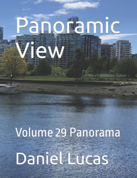 Panoramic View: Volume 29 Panorama