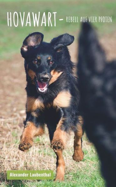 Rebell auf vier Pfoten: Hovawart - alles andere ist Hund