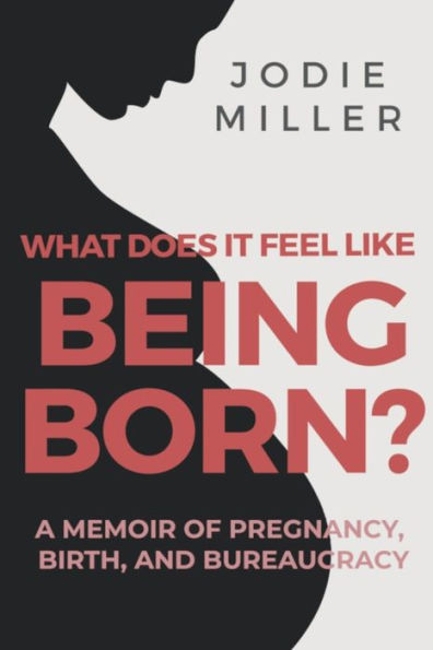 What Does It Feel Like Being Born?: A memoir of pregnancy, birth and bureaucracy