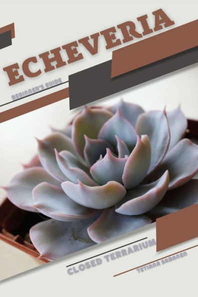 Echeveria: Closed terrarium, Beginner's Guide