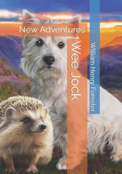 Wee Jock: New Adventures