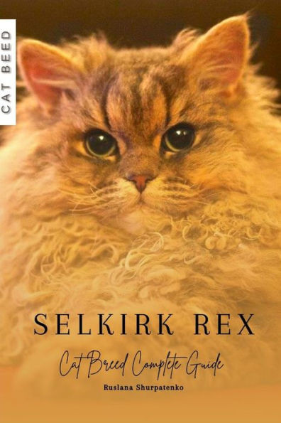 Selkirk Rex: Cat Breed Complete Guide