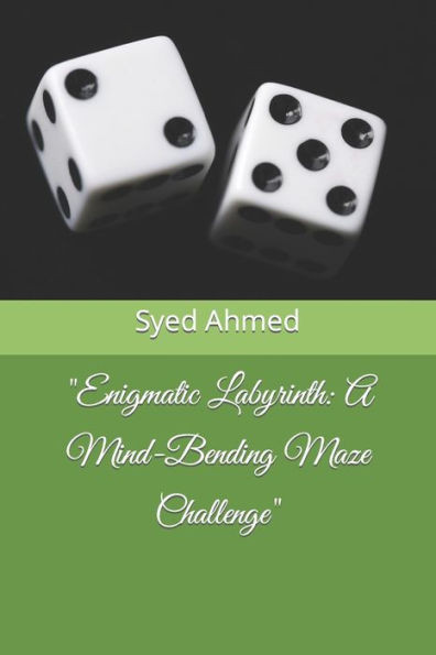 ""Enigmatic Labyrinth: A Mind-Bending Maze Challenge""