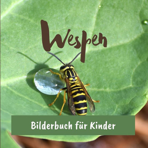 Wespen: Bilderbuch fÃ¼r Kinder