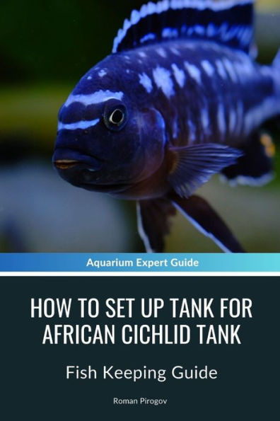 How to Set up tank for African Cichlid Tank: Fish Keeping Guide