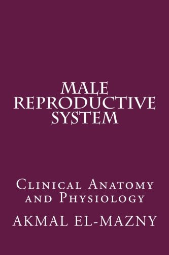 Male Reproductive System: Clinical Anatomy And Physiology