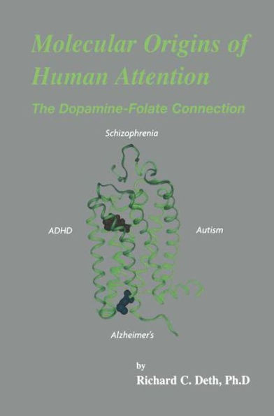 Molecular Origins of Human Attention: The Dopamine-Folate Connection