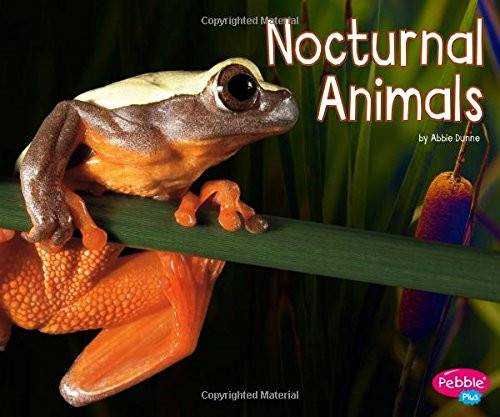 Nocturnal Animals (Life Science)