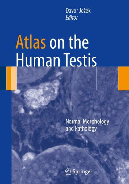 Atlas on the Human Testis: Normal Morphology and Pathology