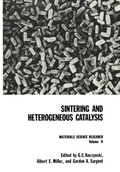 Sintering and Heterogeneous Catalysis