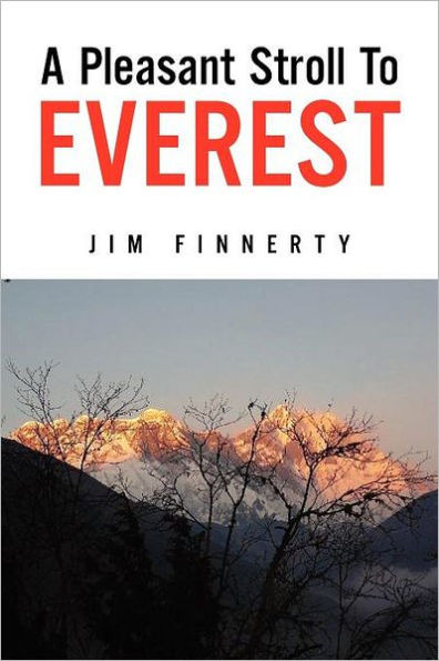 A Pleasant Stroll to Everest
