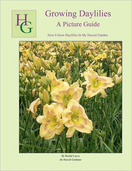 Growing Daylilies A Picture Guide: How I Grow Daylilies In My Hawaii Garden