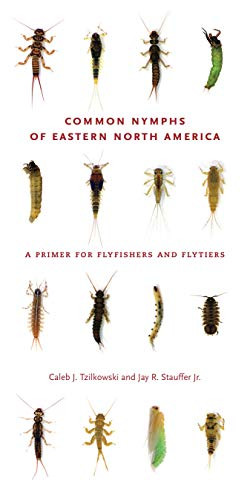 Common Nymphs Of Eastern North America: A Primer For Flyfishers And Flytiers