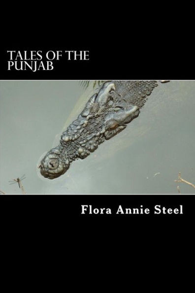 Tales of the Punjab: Folklore of India