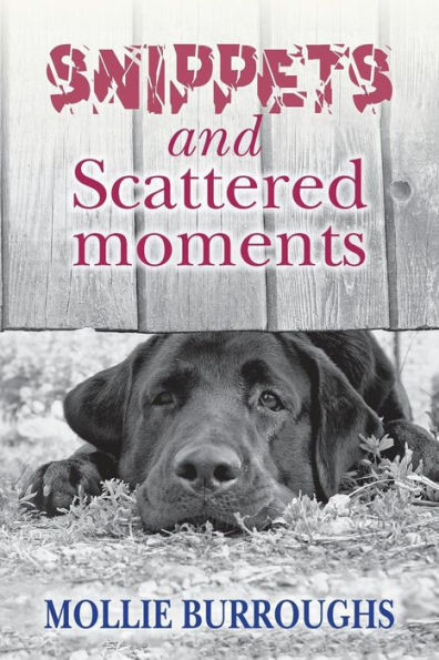 Snippets and Scattered moments