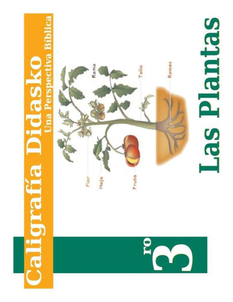 Caligrafia 3