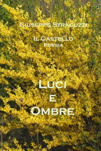 Luci e ombre: Raccolta di poesie