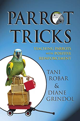 Parrot Tricks: Teaching Parrots With Positive Reinforcement