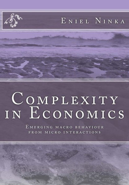 Complexity in Economics: Emerging macro behaviour from micro interactions