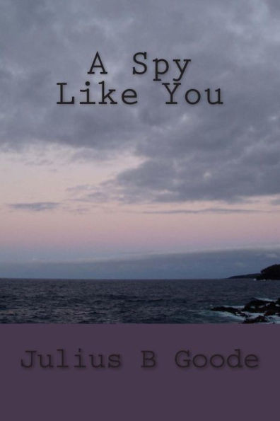 A Spy Like You