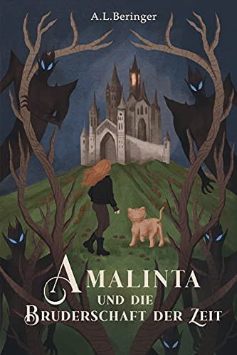 Amalinta Und Die Bruderschaft Der Zeit (German Edition)