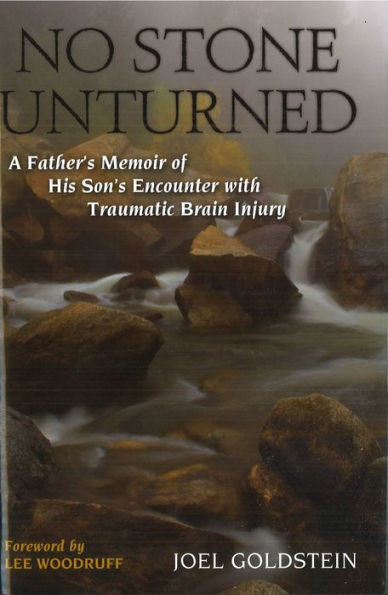 No Stone Unturned: A Father's Memoir of His Son's Encounter with Traumatic Brain Injury