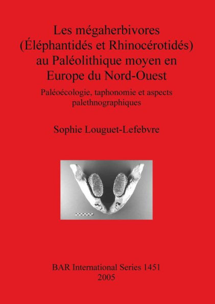Les mÃ©gaherbivores (Ã‰lÃ©phantidÃ©s et RhinocÃ©rotidÃ©s) au PalÃ©olithique moyen en Europe du Nord-Ouest: PalÃ©oÃ©cologie, taphonomie et aspects palethnograph