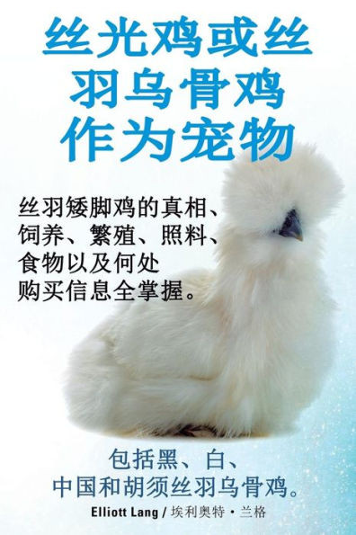 丝光鸡或丝羽乌骨鸡作为宠物. 丝羽矮脚鸡