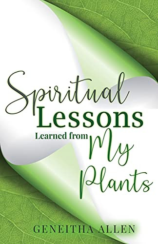 Spiritual Lessons Learned From My Plants