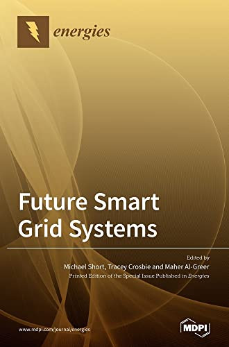 Future Smart Grid Systems