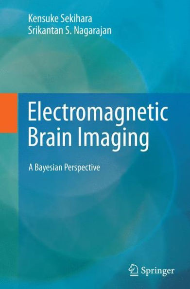 Electromagnetic Brain Imaging: A Bayesian Perspective