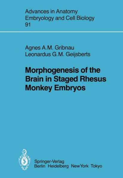 Morphogenesis of the Brain in Staged Rhesus Monkey Embryos
