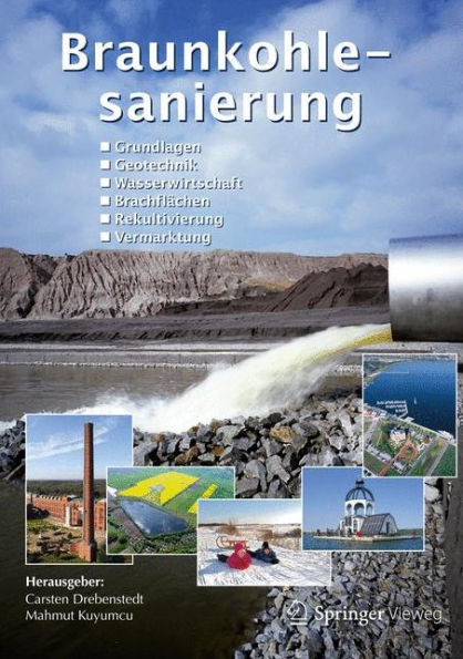 Braunkohlesanierung: Grundlagen, Geotechnik, Wasserwirtschaft, BrachflÃ¤chen, Rekultivierung, Vermarktung