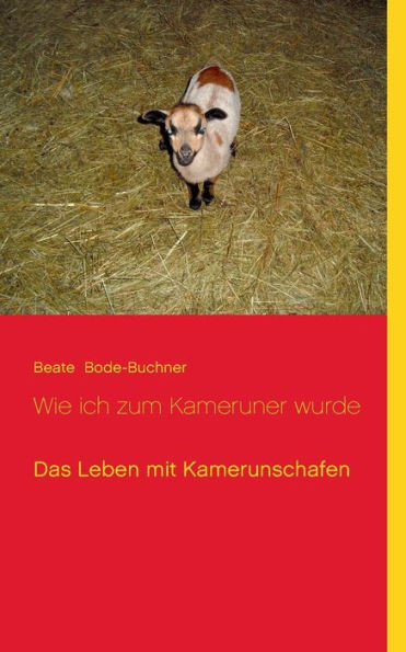 Wie ich zum Kameruner wurde: Das Leben mit Kamerunschafen