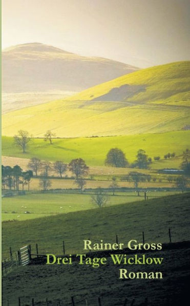Drei Tage Wicklow: Roman