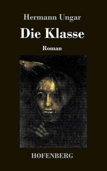 Die Klasse: Roman