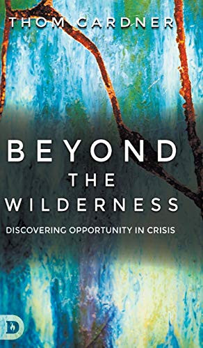 Beyond the Wilderness: Discovering Opportunity in Crisis - Hardcover