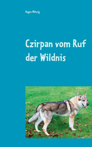 Czirpan vom Ruf der Wildnis: Der Weg zurück