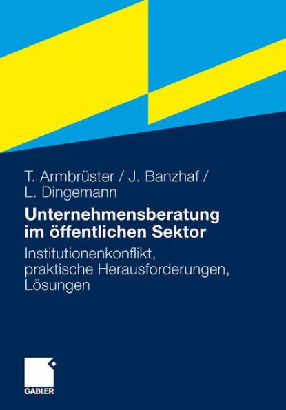 Unternehmensberatung Im Ã–ffentlichen Sektor: Institutionenkonflikt, Praktische Herausforderungen, LÃ¶sungen