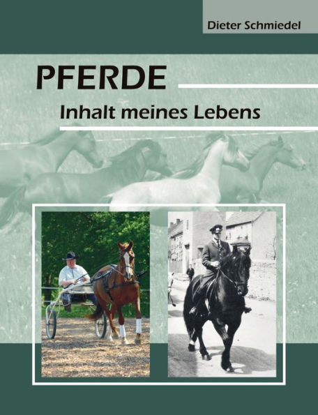 Pferde: Inhalt meines Lebens
